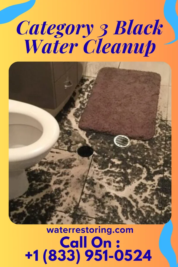 Category 3 Black Water Cleanup in Griggsville, IL